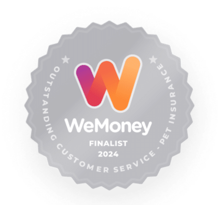 WeMoney Finalist 2024